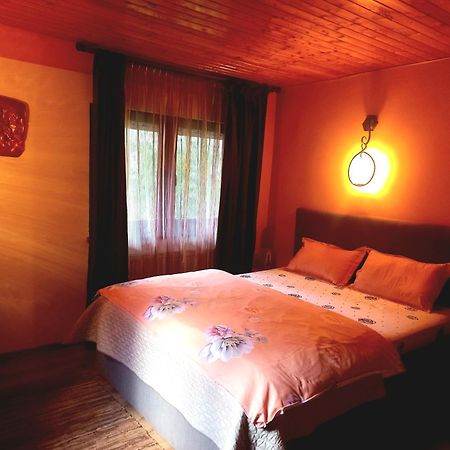 Casa Artemi Otel Remeţi Dış mekan fotoğraf