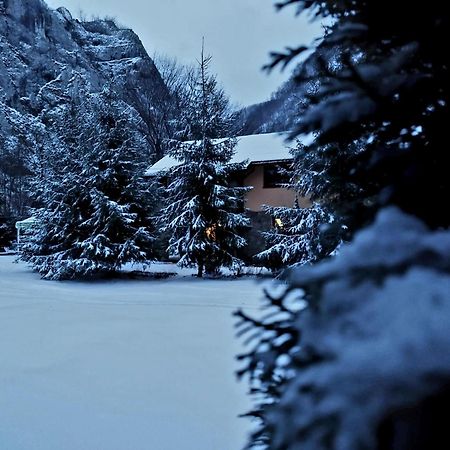 Casa Artemi Otel Remeţi Dış mekan fotoğraf