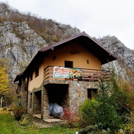 Casa Artemi Otel Remeţi Dış mekan fotoğraf