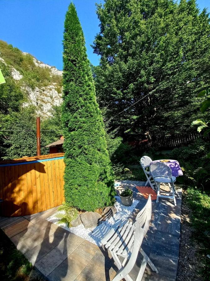 Casa Artemi Otel Remeţi Dış mekan fotoğraf