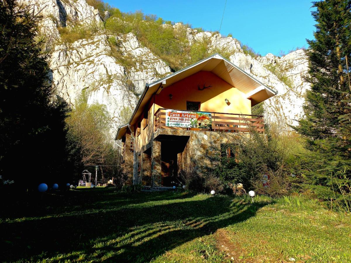 Casa Artemi Otel Remeţi Dış mekan fotoğraf