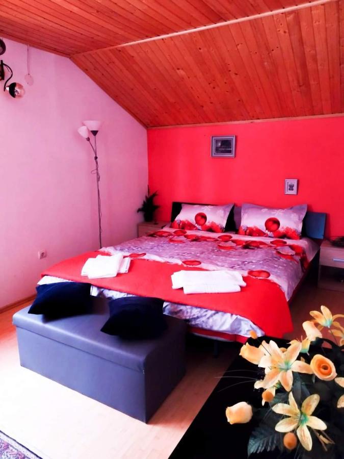 Casa Artemi Otel Remeţi Dış mekan fotoğraf