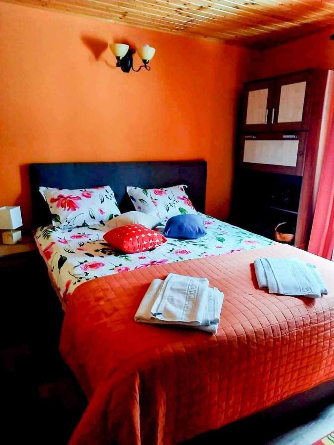 Casa Artemi Otel Remeţi Dış mekan fotoğraf