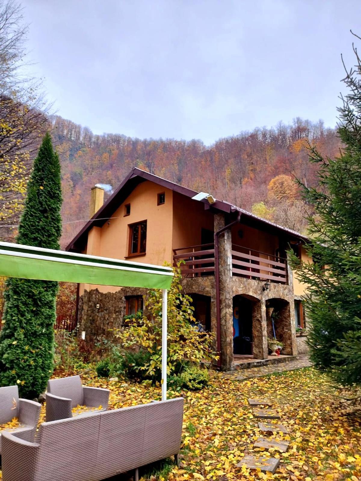 Casa Artemi Otel Remeţi Dış mekan fotoğraf